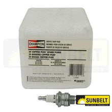 (24) B1SB79051 24/Shop Pack CJ14 Champion Spark Plug Fits Sunbelt Ag Apps