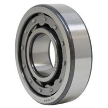 M1306EL Bearing Roller Fits Riverside Tractor