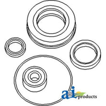 N159764 Bearing Seal Kit Fits International Harvester