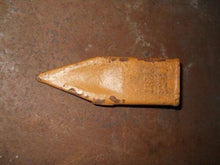 D23T Duke Series Tooth
