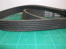 Everguard dY690K6 V Ribbed Belt
