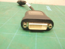 Foxconn HP 481409-002 DisplayPort DP to DVI-D Compact Cable Adapter