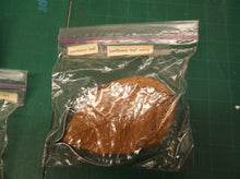 (6) Gum paste lilly gerbera daisy gardenia lilly sunflower leaf and moth orchid