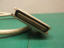 31" PARAELL PRINTER CABLE