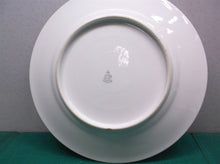 9.5" karlsbad pink flowers dinner plate