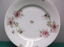 9.5" karlsbad pink flowers dinner plate