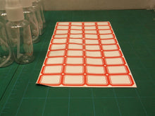 12 spray bottles with funnel & droppers