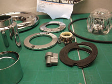 ASSORTED PARTS FROM A DANCO 10003 Single Function Tub / SHOWER Trim Kit