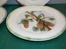 Set of 4 8" decorative use only bird themed plates ds1