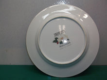 Tienshan Fine China Magnolia Made in China 10-1/2 Plate ds1