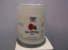 Rose Aromatherapy Deodorizing Soy Candle for Pets Scented Odor Eliminator