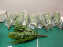2-8 Piece Sets Indoor 9 in. Birds Nest Fern Artificial Plant