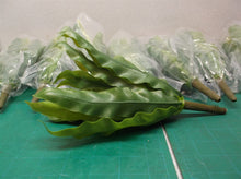 2-8 Piece Sets Indoor 9 in. Birds Nest Fern Artificial Plant