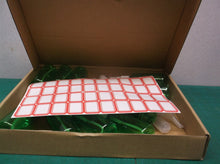 12 30 ml Green spray bottles with funnel & droppers