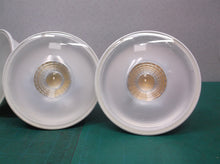 EcoSmart 120W Equivalent Daylight PAR38 LED Flood Light Bulb 1 3000K 2 5000k