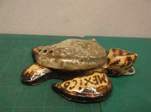 Wooden Sea Turtle with Abalone Shell wall decor from Los Cabos 5"x5"