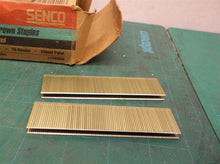 SENCO L13BABN 1/4" X 1" GALVANIZED STAPLES