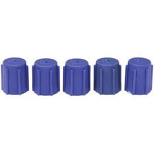 CP0131 R134 LO SIDE CAP(5 PACK)