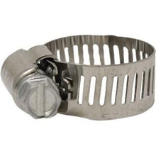 C8P Hose Clamp (Qty of 10)