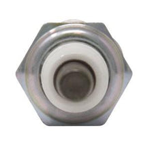 (25) B1BMR6ASDS25 NGK SPARK PLUG