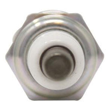 (10) B1BPMR7Y NGK SPARK PLUG