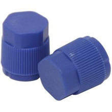 CP0137 LO SIDE PORT CAP (4 PK)