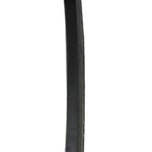 585436 MURRAY BELT