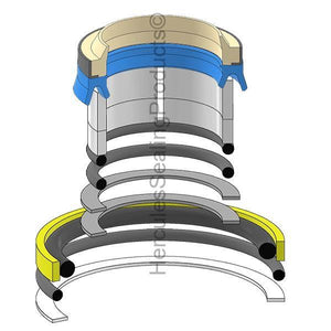 1606502M94 Bucket Tilt Cylinder Seal Kit Fits Massey Ferguson 50H (H1)