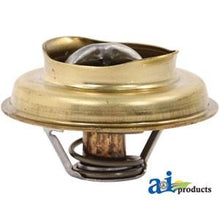 313942R92 THERMOSTAT (180 DEGREE)