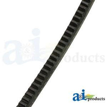 603907 HUSTLER BELT