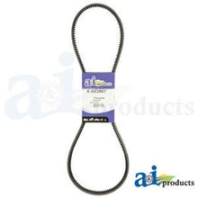 603907 HUSTLER BELT