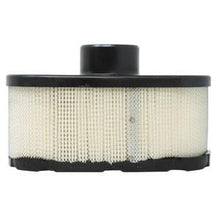 B1AF274 AIR FILTER- 11013-7047 1