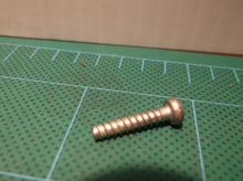 660031029 Screw M3.5 x 16 mm Off Of A Ryobi P318 18V Pin Nailer