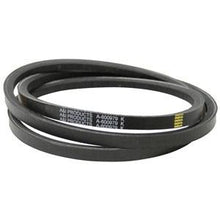 600979 HUSTLER BELT