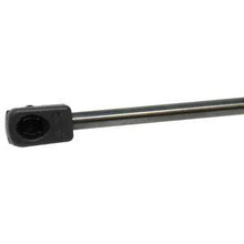 RE218643 STRUT; HOOD