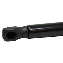 RE218643 STRUT; HOOD