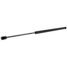 RE218643 STRUT; HOOD