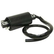 AM120732 COIL IGNITION