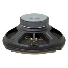RE254829 SPEAKER