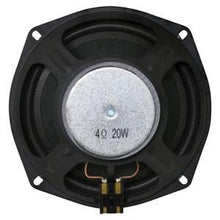 RE254829 SPEAKER