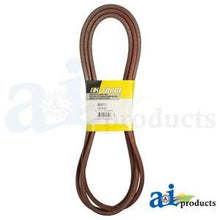 604711 HUSTLER BELT