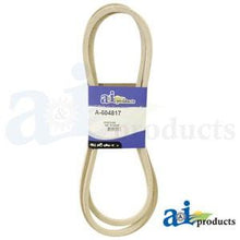 604817 HUSTLER BELT