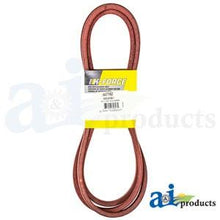607162 HUSTLER BELT