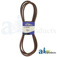 797928 HUSTLER BELT