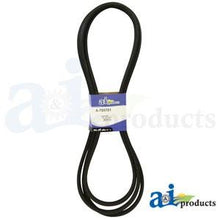 795781 HUSTLER BELT