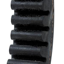 244420A4 ROTOR BELT