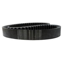 244420A4 ROTOR BELT