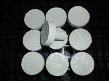 1 1/4" Coral Frag Plug 10 Pack Neptune's Garden Plugs Plates and Fixtures