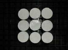 1 1/4" Coral Frag Plug 10 Pack Neptune's Garden Plugs Plates and Fixtures