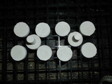 7/8" Coral Frag Plug 10 Pack Neptune's Garden Plugs Plates and Fixtures